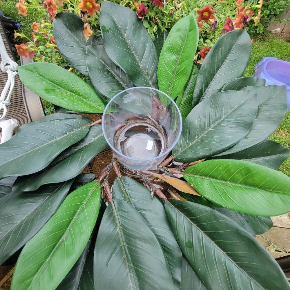 Candle Holder 